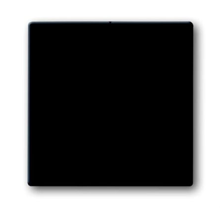 ABB Black 2 Gang Light Switch Cover