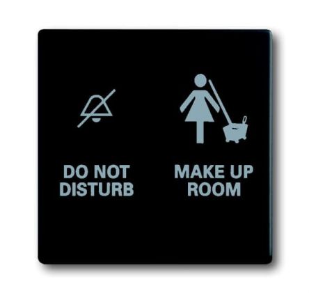 ABB Black 2 Gang Light Switch Cover