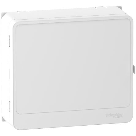 Schneider Electric White Adaptable Enclosure Box 249mm x 221 mm x 249 mm