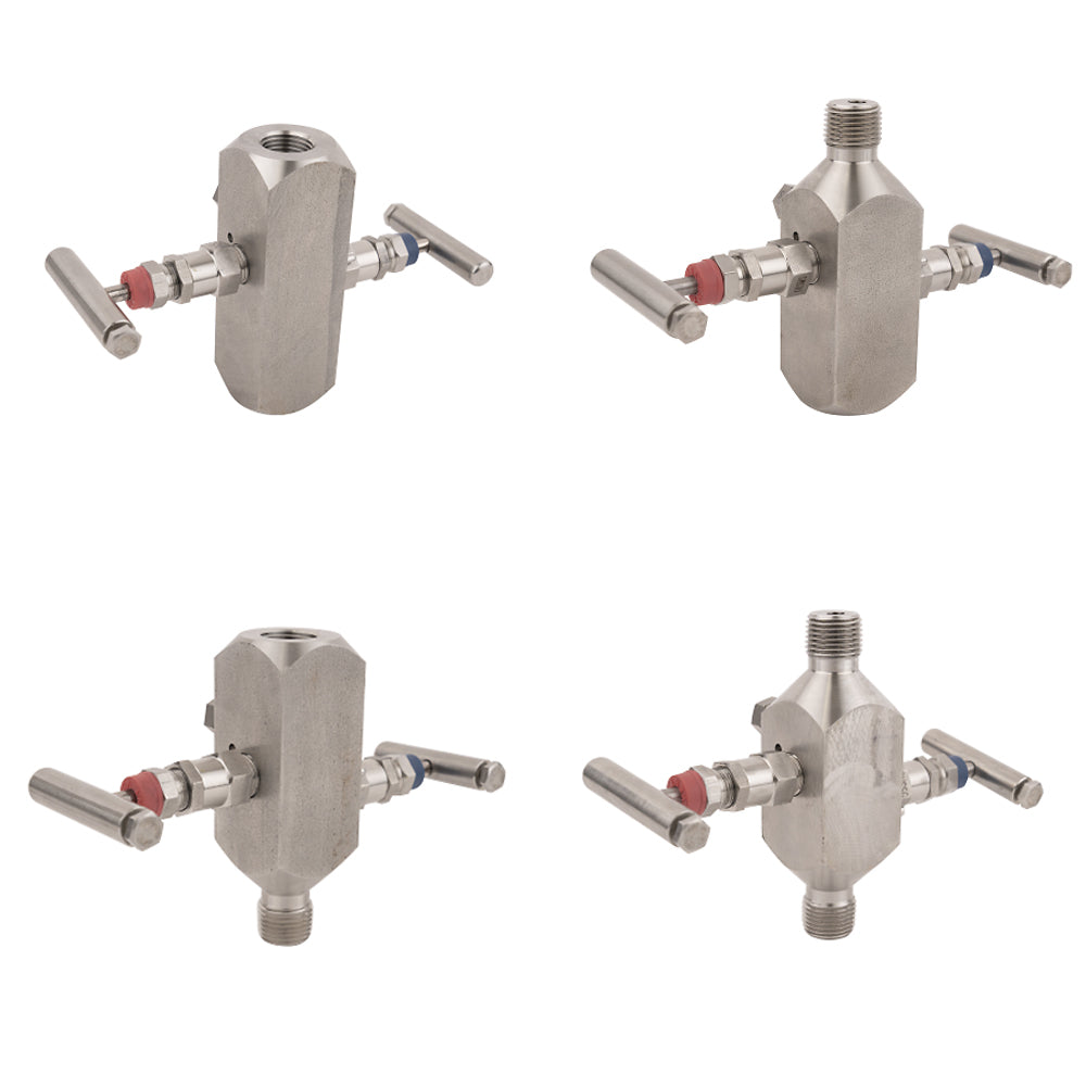 AGI Model M25/M251 Differential Pressure Manifolds
