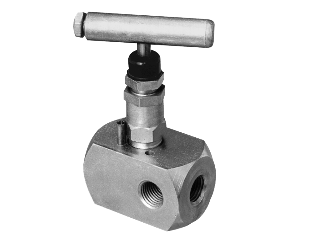 AGI Series M5F Multi-Port Gauge Valves