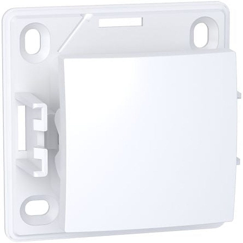 Schneider Electric, On-Off 2 Way Rocker Switch Screw
