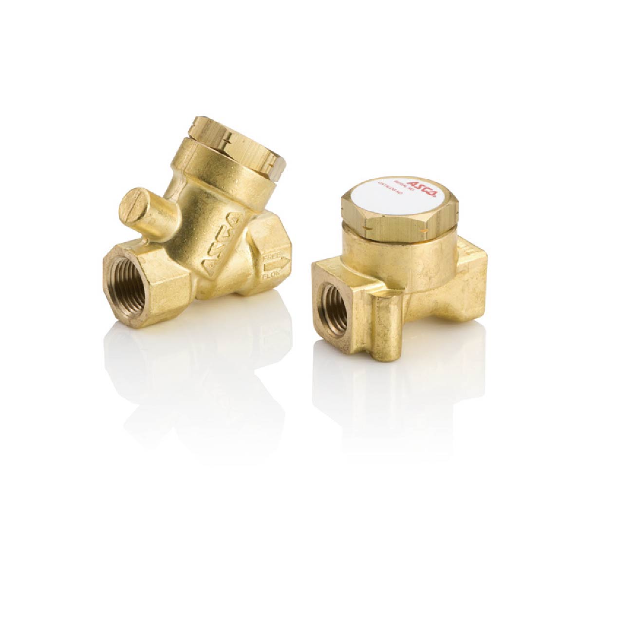 ASCO NPV012 Nuclear Qualified Check Valve | Emerson