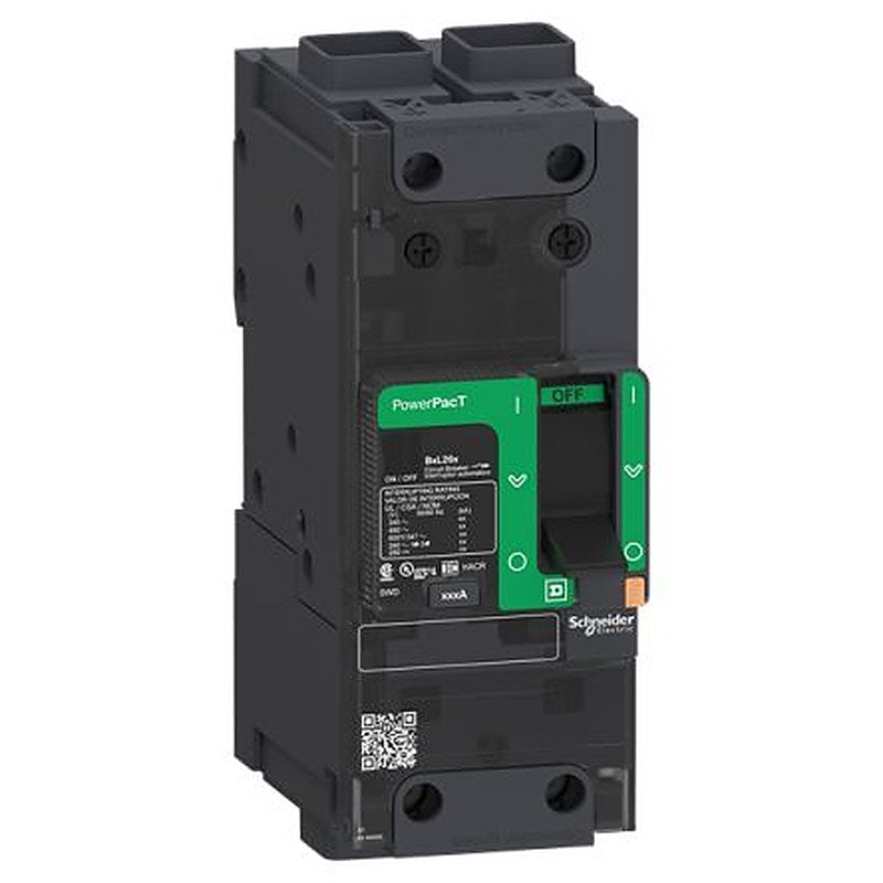 Schneider Electric, PowerPact, PowerPact Molded Case Circuit Breaker 2-Pole 110A, Breaking Capacity 18 kA, Clip-on