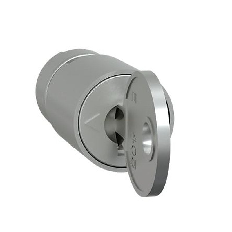 Schneider Electric PrismaSeT G Series Lock Barrel for Use with PrismaSeT P, PrismaSeT G Door