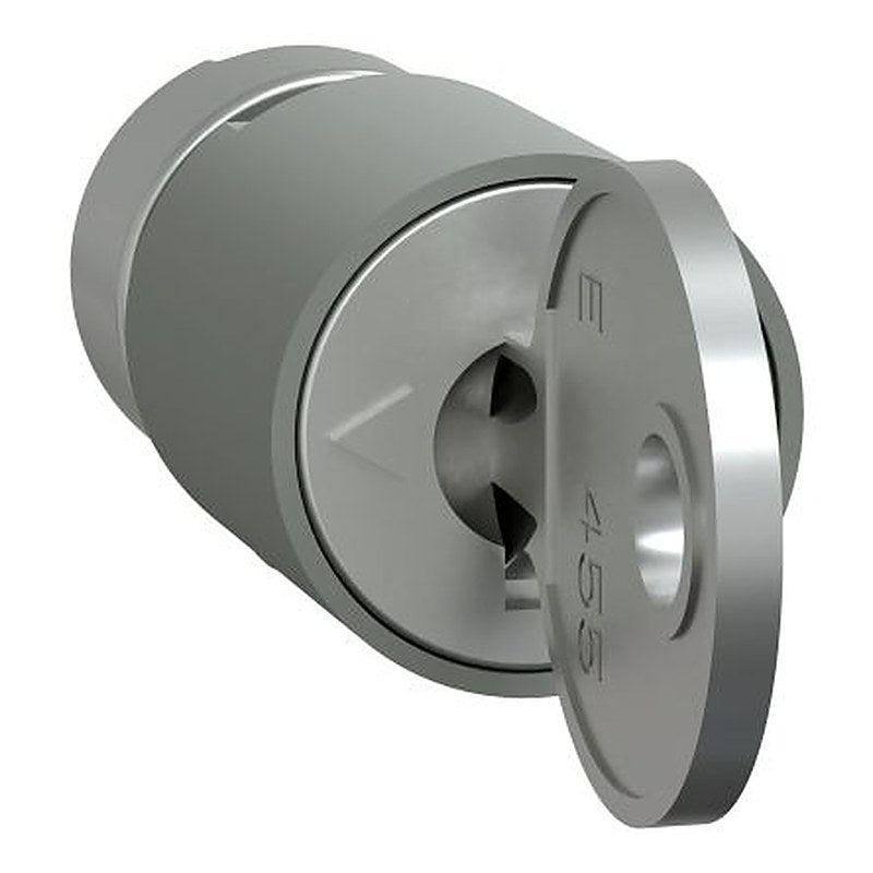 Schneider Electric PrismaSeT G Series Lock Barrel for Use with PrismaSeT G Door, PrismaSeT P