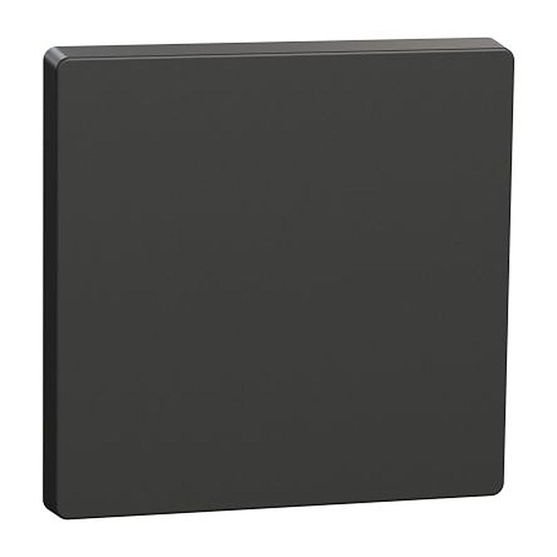Schneider Electric Rocker Switch Flush
