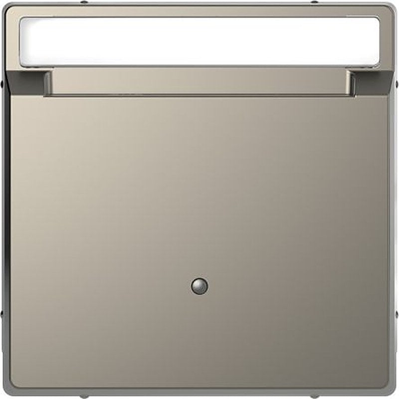 Schneider Electric Nickel Cover Plate