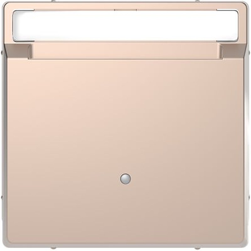 Schneider Electric Champagne Cover Plate