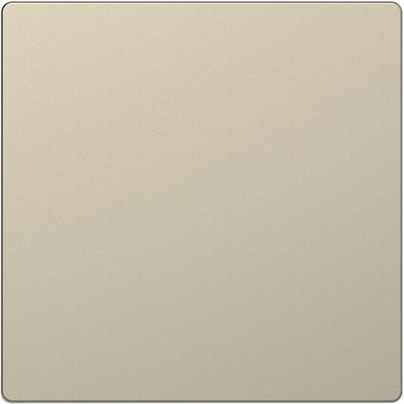 Schneider Electric Brown 1 Gang Blanking Plate