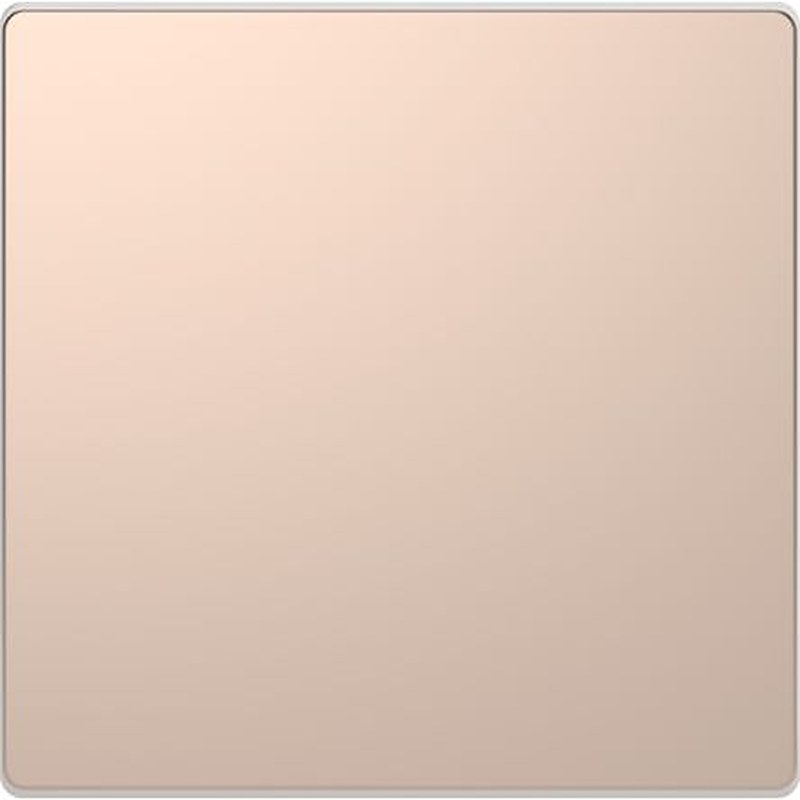 Schneider Electric Champagne Cover Plate