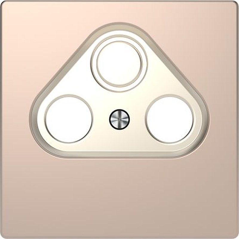 Schneider Electric Brown 2 Gang Cover Plate