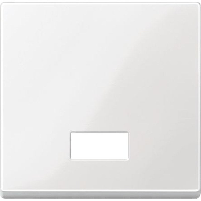 Schneider Electric White 1 Gang Cover Plate