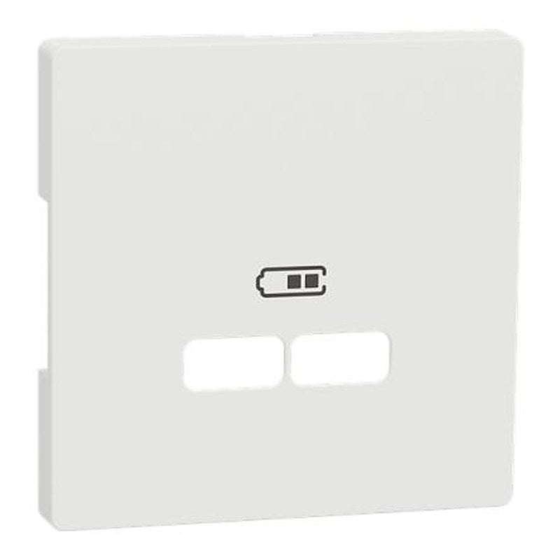 Schneider Electric Anthracite 2 Gang Cover Plate