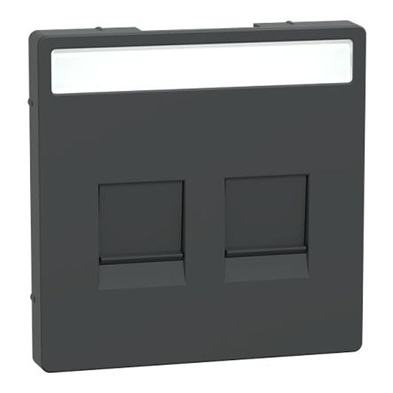 Schneider Electric Anthracite 2 Gang Cover Plate