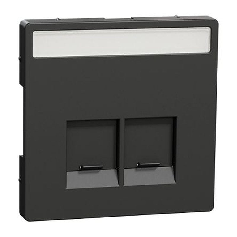 Schneider Electric Anthracite 2 Gang Cover Plate