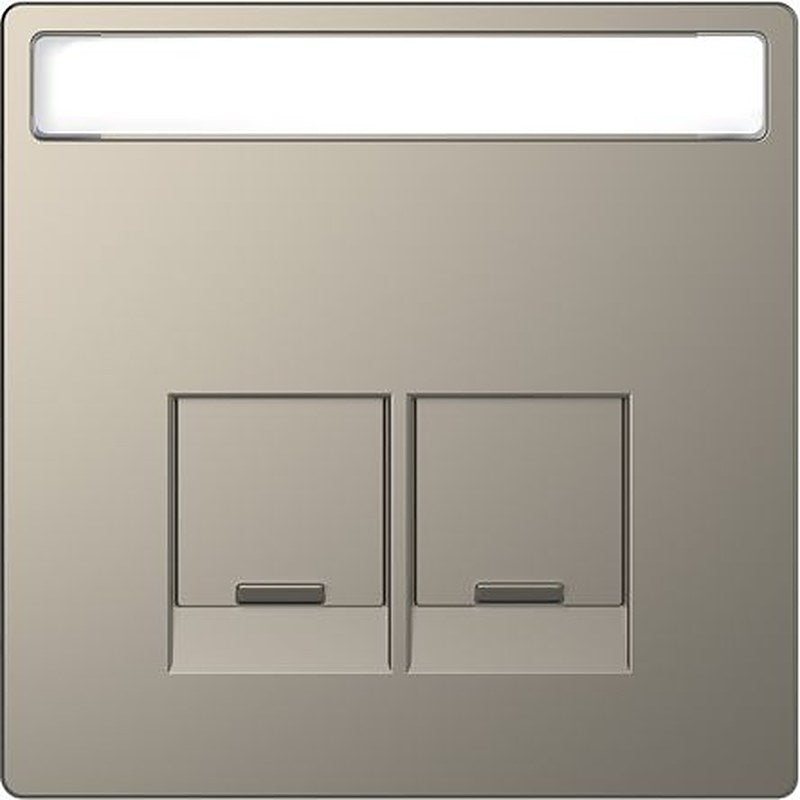 Schneider Electric Nickel 2 Gang Cover Plate
