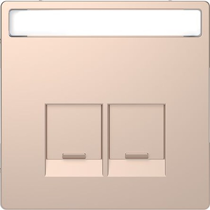 Schneider Electric Brown 2 Gang Cover Plate