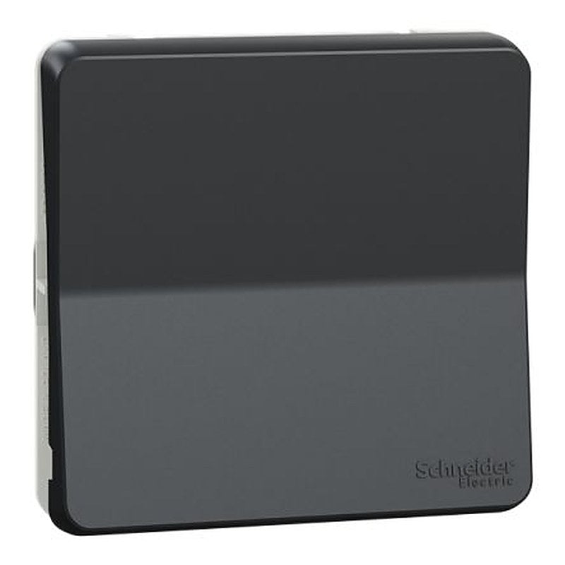 Schneider Electric Grey Push Button, Mureva Styl