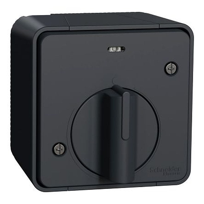 Schneider Electric Grey Turn Switch, 1 Gang, Mureva Styl