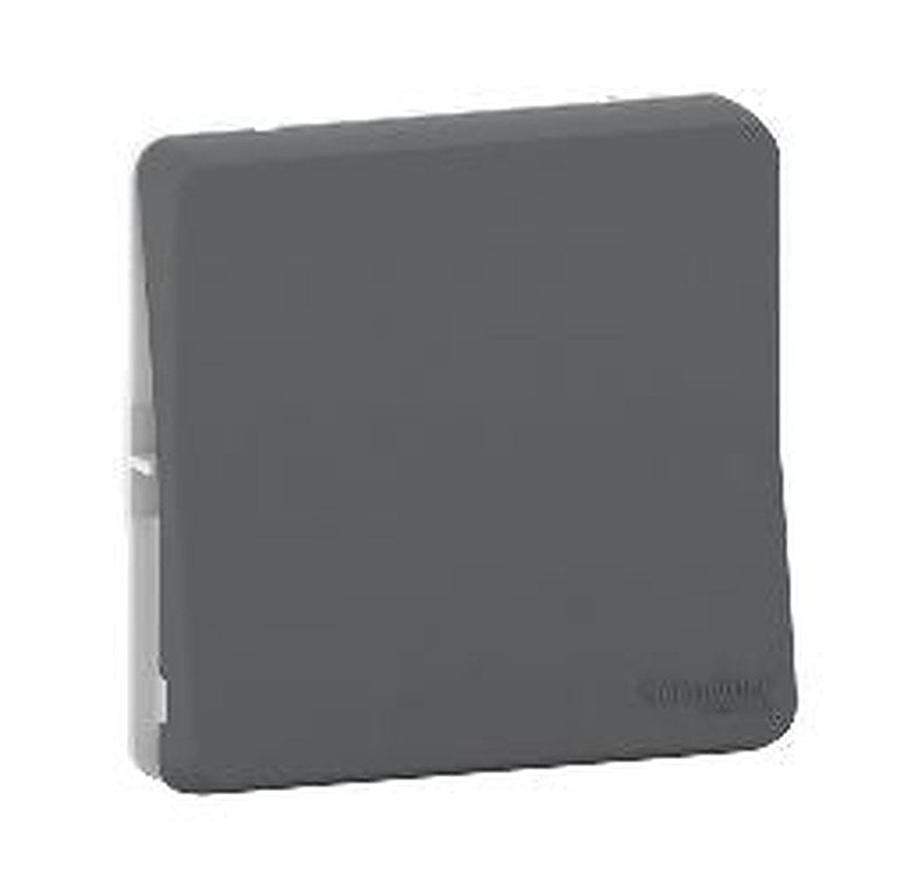 Schneider Electric Light Switch Surface, Flush