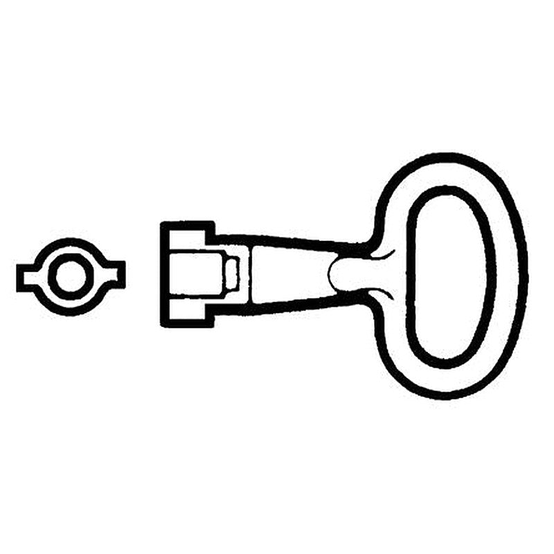 Schneider Electric PanelSeT Series 5 mm Key For Use With Thalassa, Spacial
