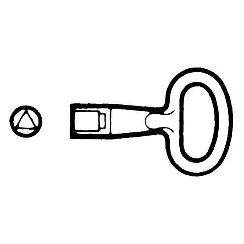 Schneider Electric PanelSeT Series 8 mm Triangular Key For Use With Thalassa, Spacial