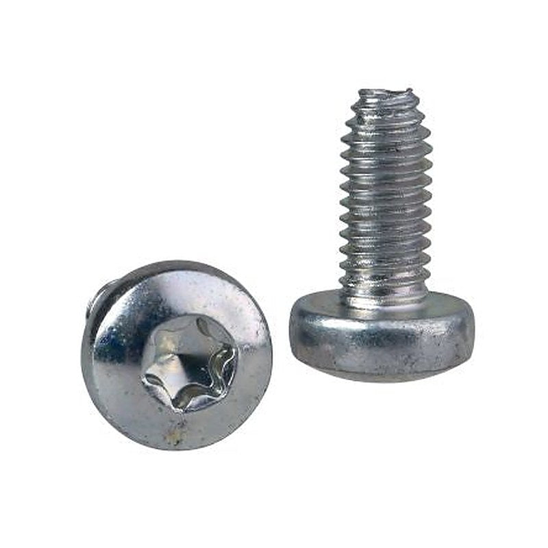 Schneider Electric Steel Self-Tapping Screw 12 mm
