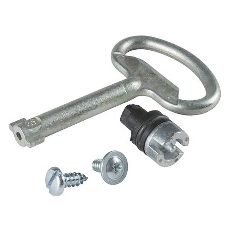 Schneider Electric PanelSeT Series 3 mm Double Bar Lock For Use With Spacial CRN