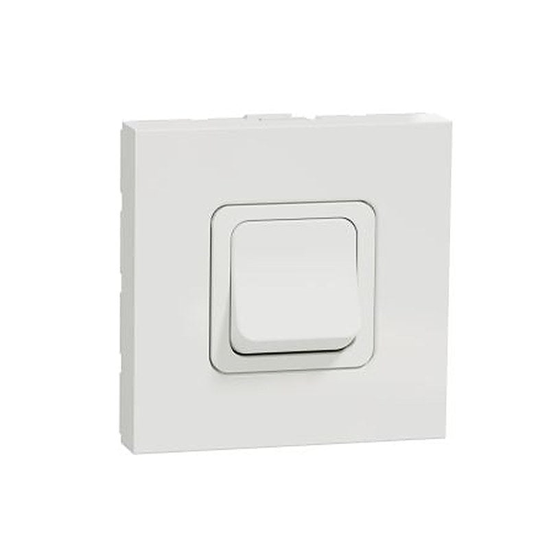Schneider Electric 2-Pole Isolator Switch -, IP4X, 20A