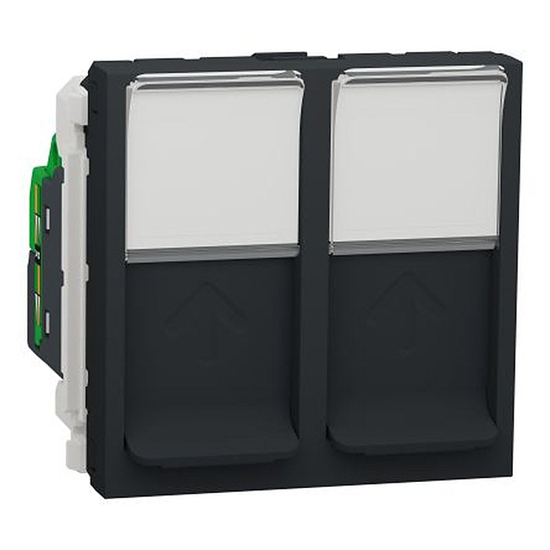 Schneider Electric Anthracite, 2 Gang, Unica