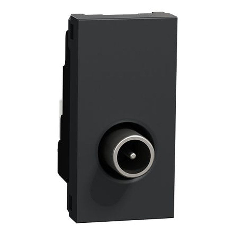 Schneider Electric Male IEC 9.52 mm Anthracite Male Socket, Flush