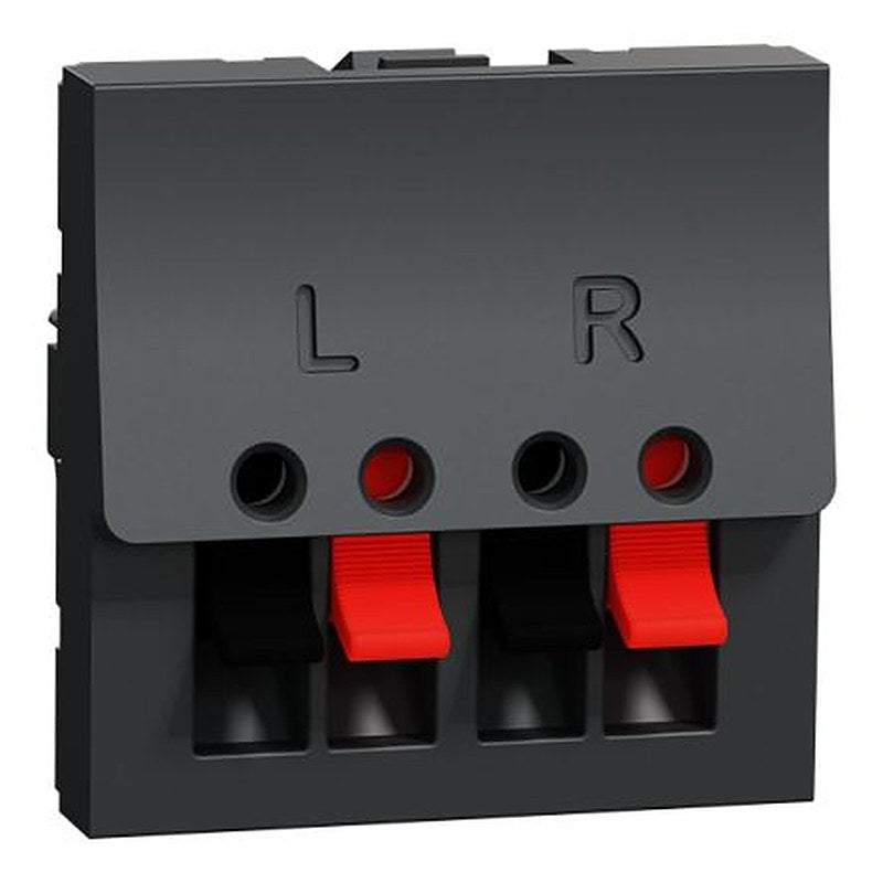 Schneider Electric F Anthracite Female 1 Outlet Socket
