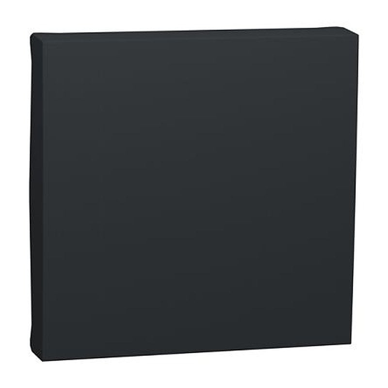 Schneider Electric Anthracite Rocker, 1 Gang, New Unica