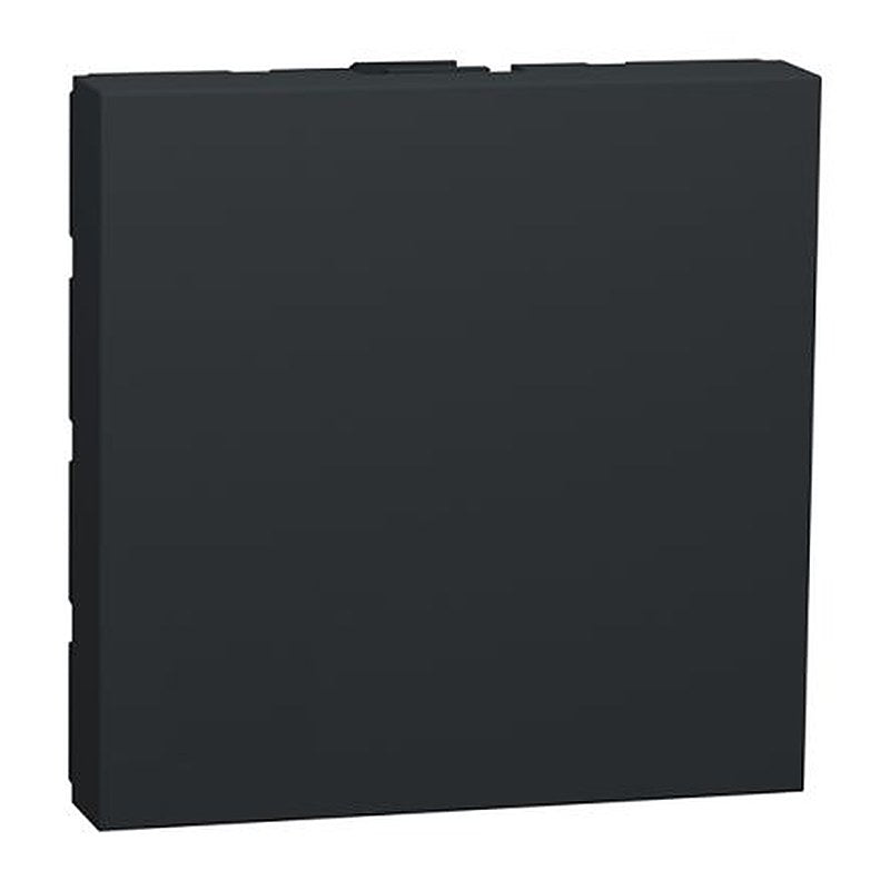 Schneider Electric Thermoplastic Matt Cover Plate Cover Plate for Use with Cover Frames