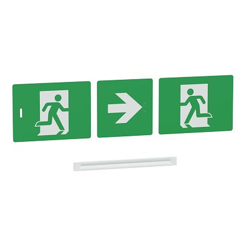 Schneider Electric Polyvinyl Chloride Exit Sign, English Exit Sign