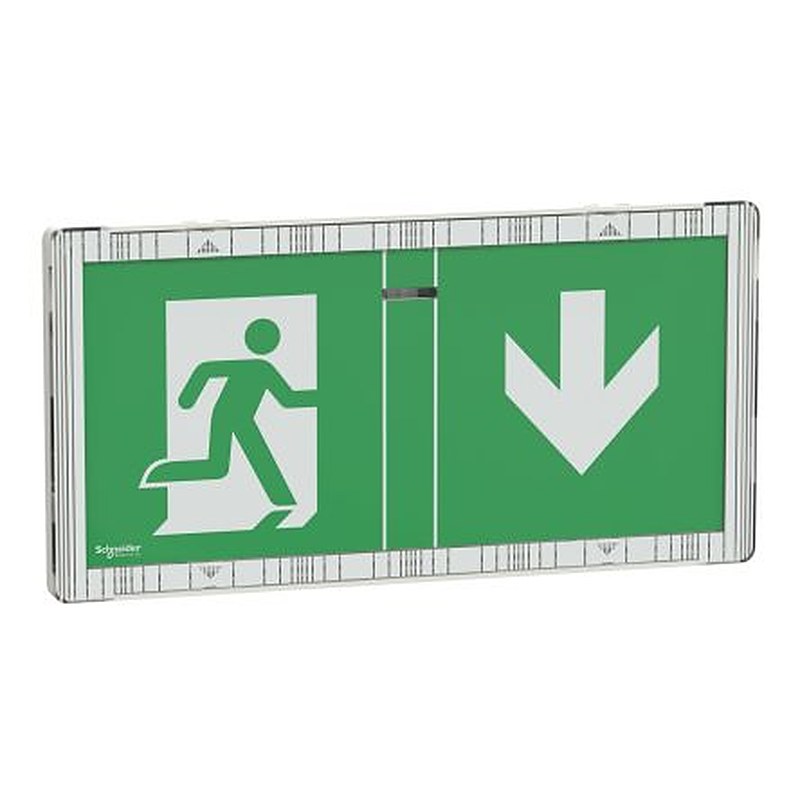 Schneider Electric LED Emergency Lighting, 0.6 W, Surface