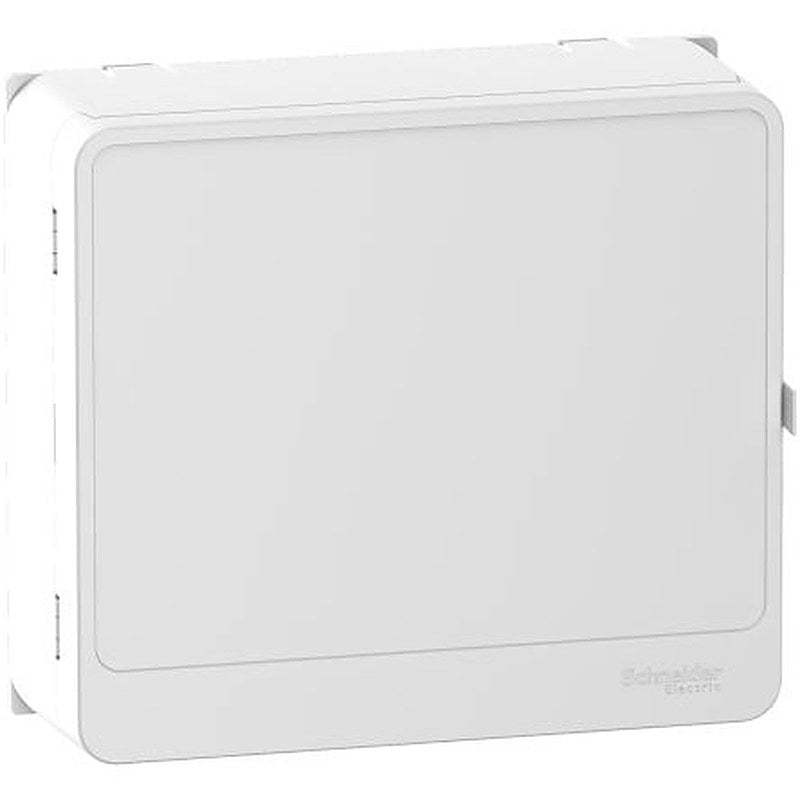 Schneider Electric White Adaptable Enclosure Box 249mm x 221 mm x 249 mm