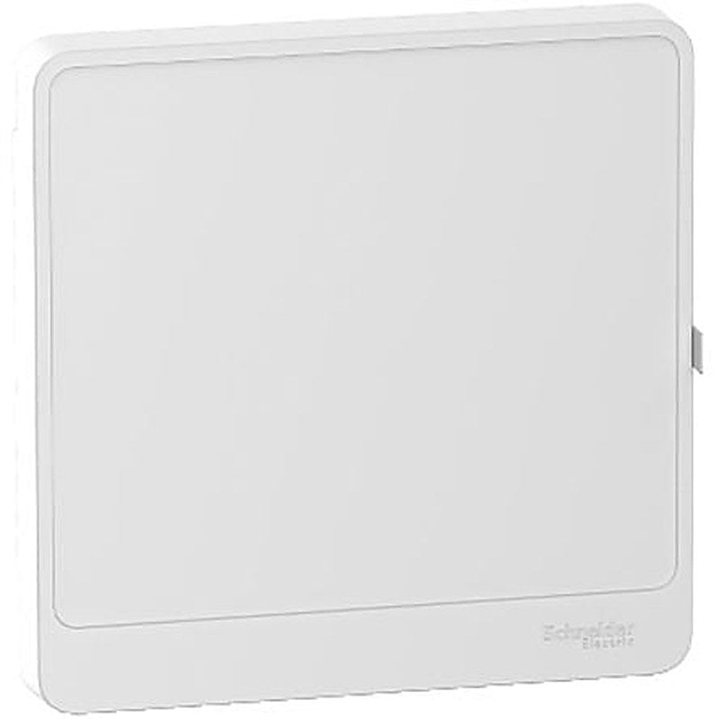 Schneider Electric Resi9 Door for use with Resi9 Enclosure