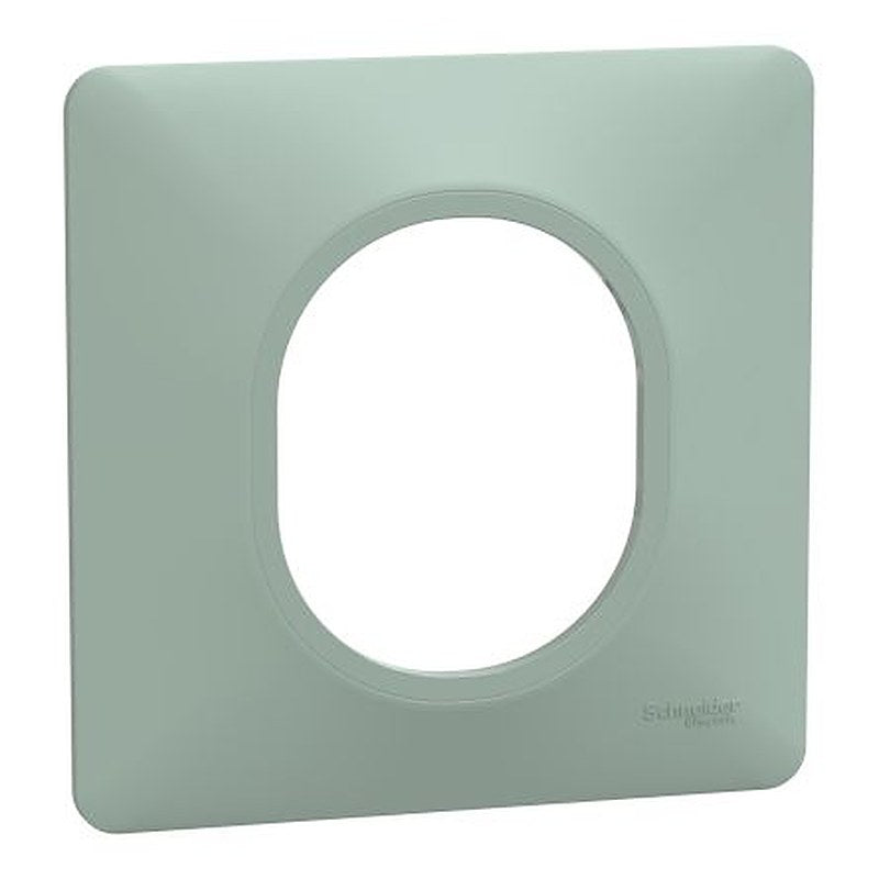 Schneider Electric Green 1 Gang Light Switch Cover