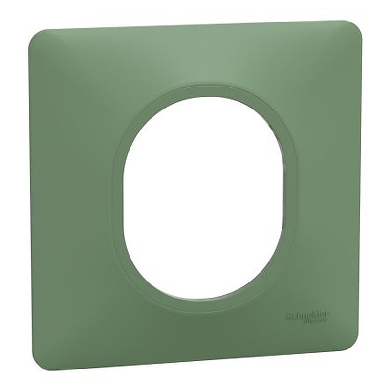 Schneider Electric Green 1 Gang Light Switch Cover
