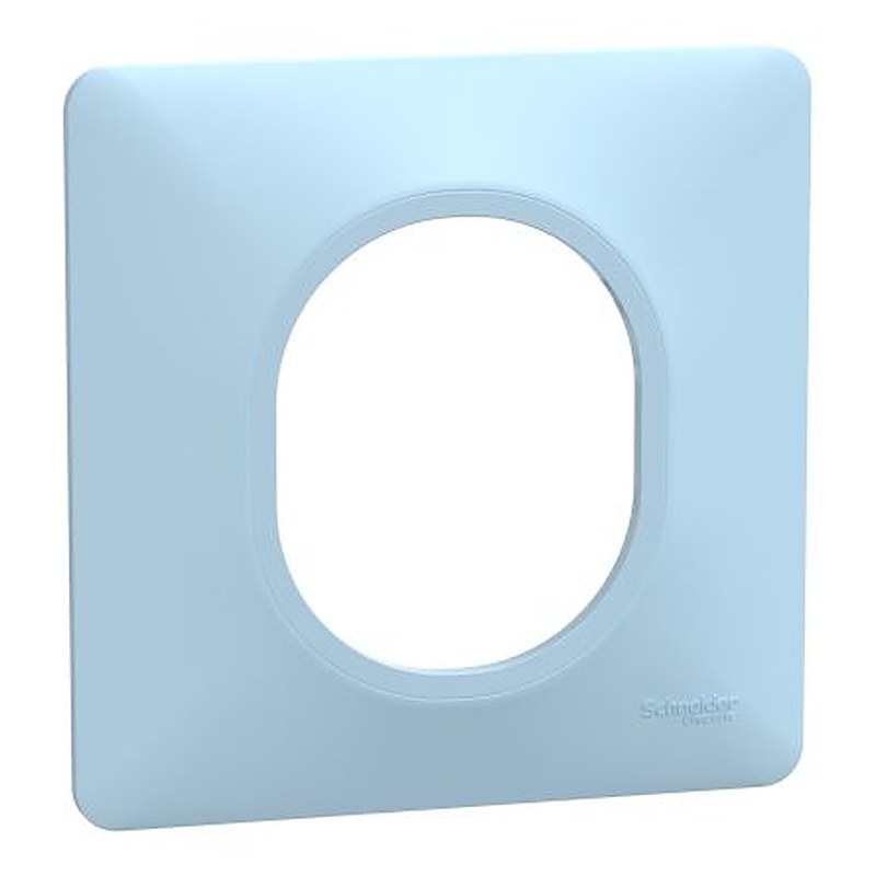 Schneider Electric Blue 1 Gang Light Switch Cover