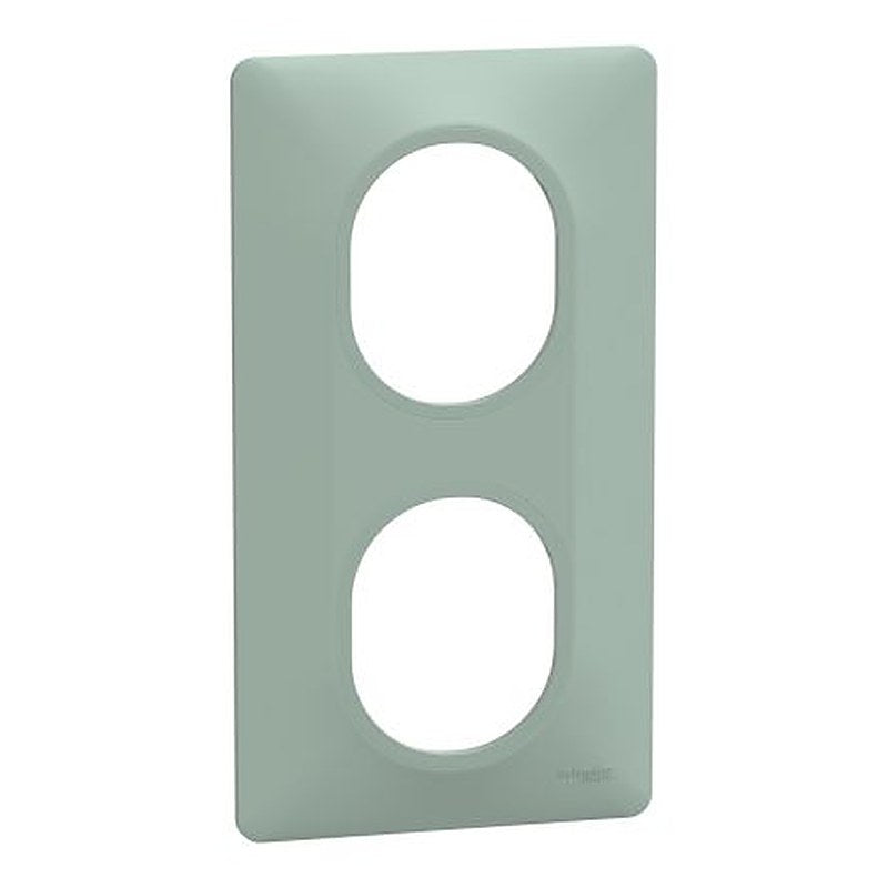 Schneider Electric Green 2 Gang Light Switch Cover