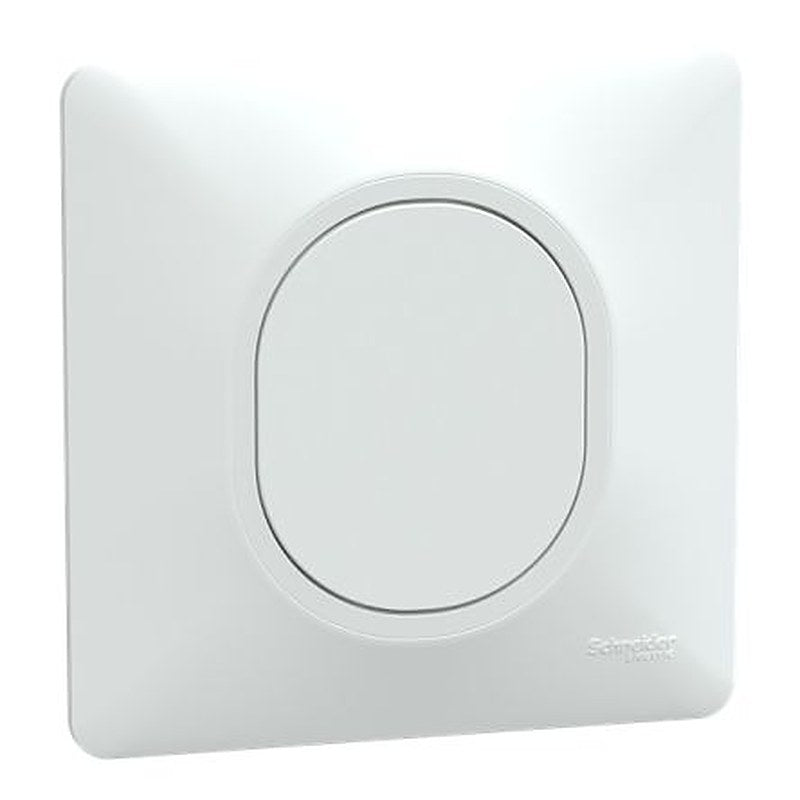 Schneider Electric Ovalis Series Push Button Switch, IP21D