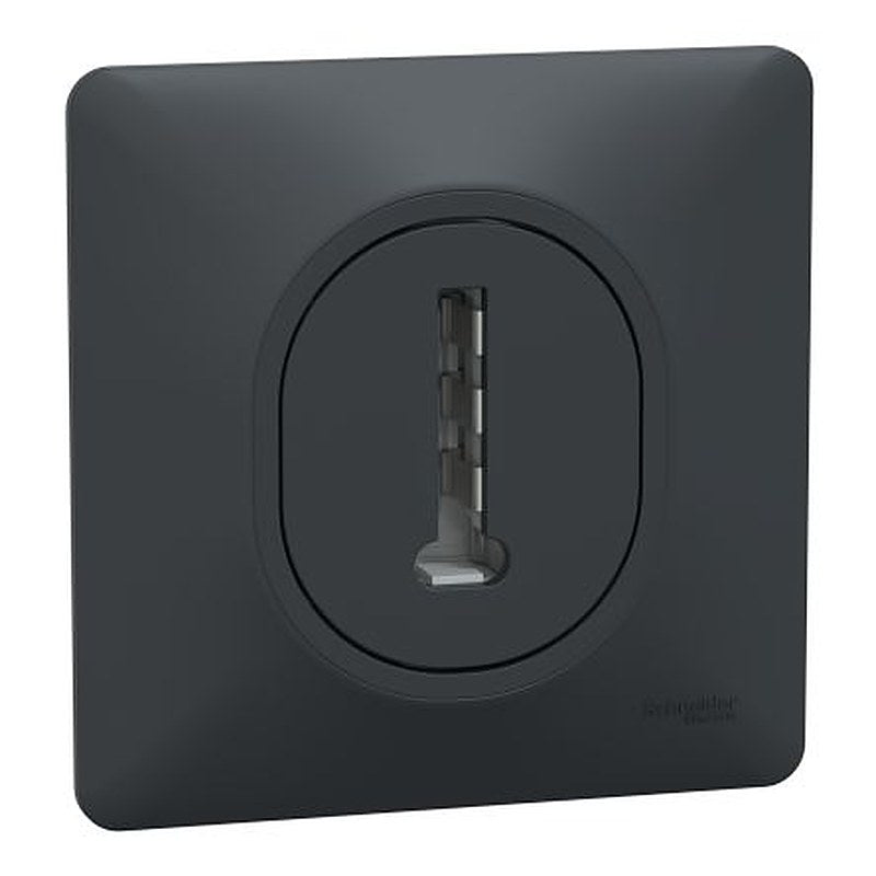 Schneider Electric Black Telephone Socket