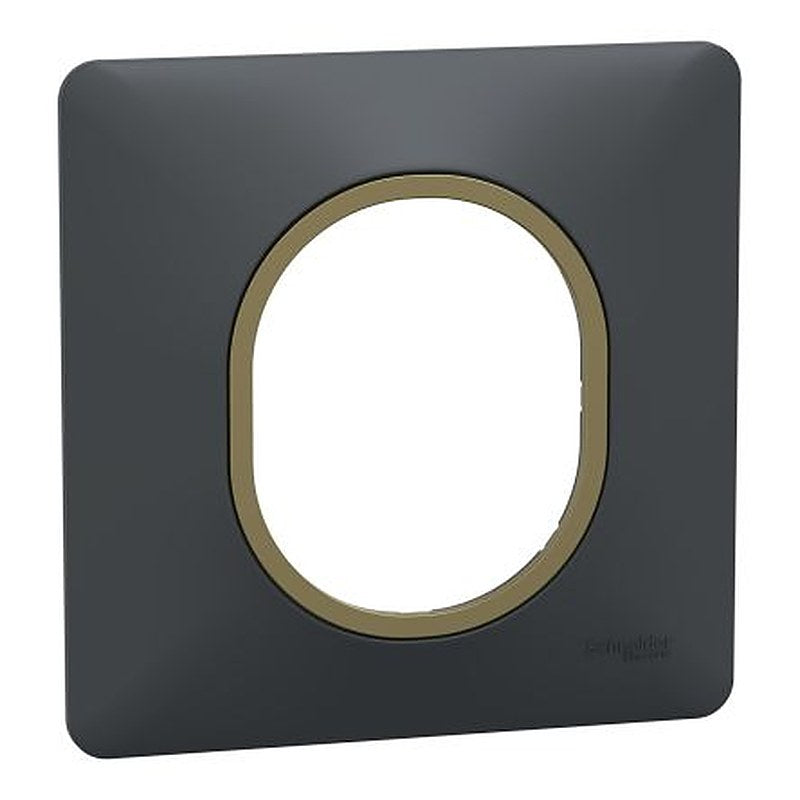Schneider Electric Anthracite 1 Gang Light Switch Cover