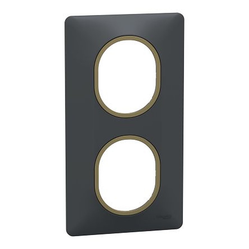 Schneider Electric Anthracite 2 Gang Light Switch Cover
