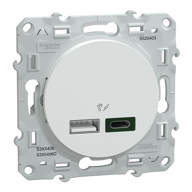 Schneider Electric Straight, Flush Female- 2 Port IP20 USB Connector