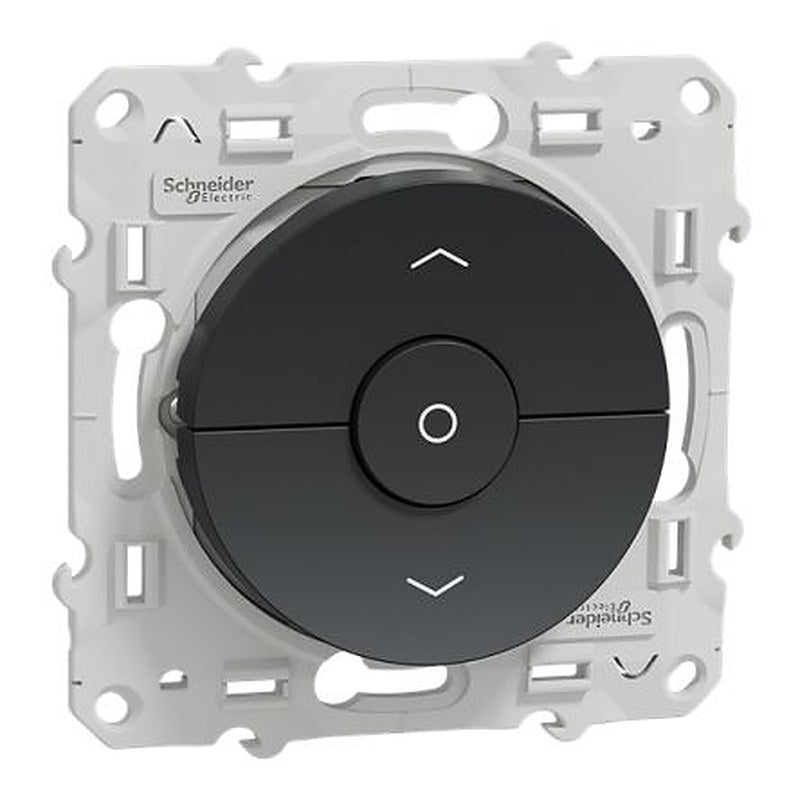 Schneider Electric Anthracite Rocker, Odace 2011