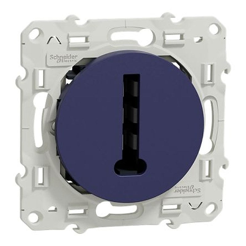 Schneider Electric Cobalt Blue Socket, Flush